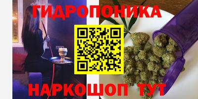 марки lsd Славгород