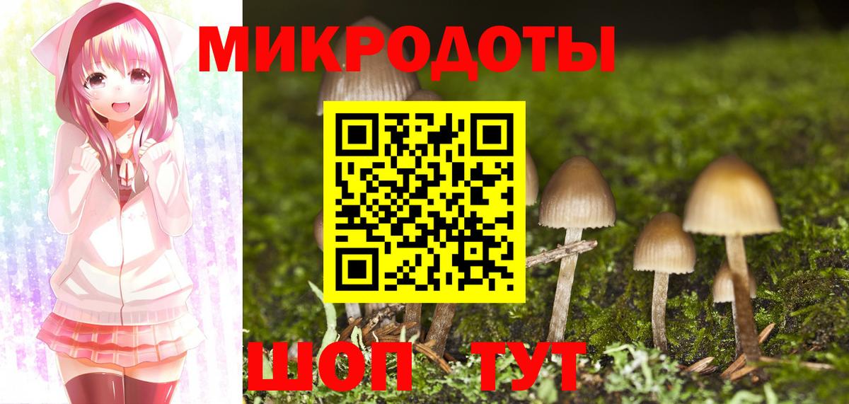 где купить наркоту  Вход с VPN  Лабинск  Галлюциногенные грибы MAGIC MUSHROOMS 
